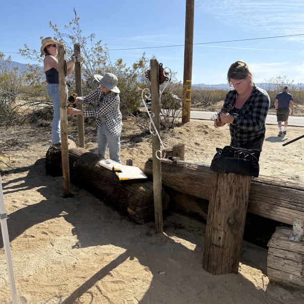 Trash is Truth Community Assemblage in Llano